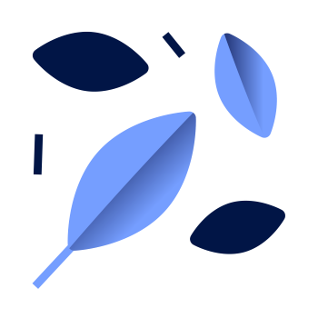 Illustration of leaves
